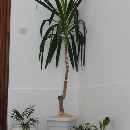 Apartamento Lyberty Randazzo